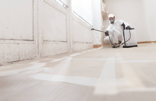 24/7 Emergency Mold Remediation experts in Lake Tapps, WA